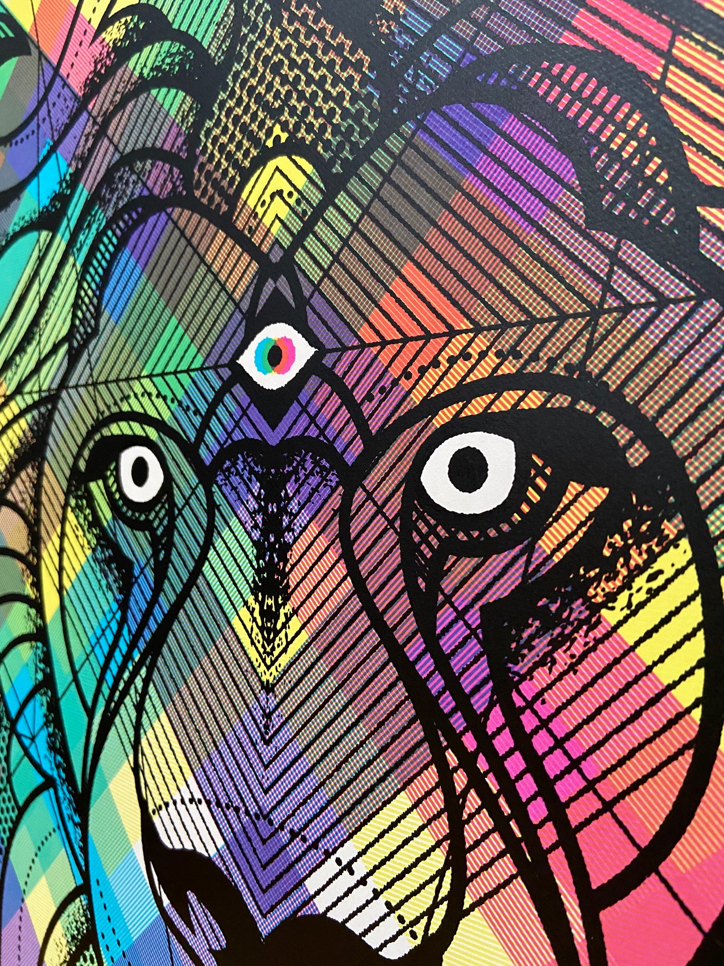 DDL Lion