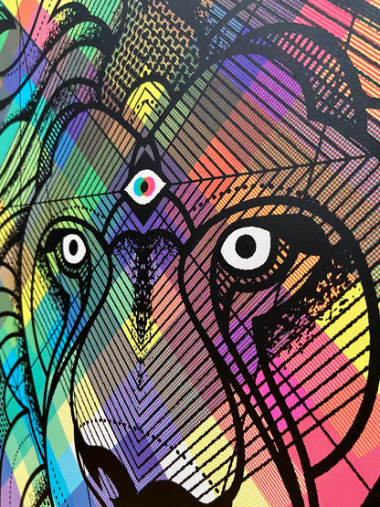 DDL Lion