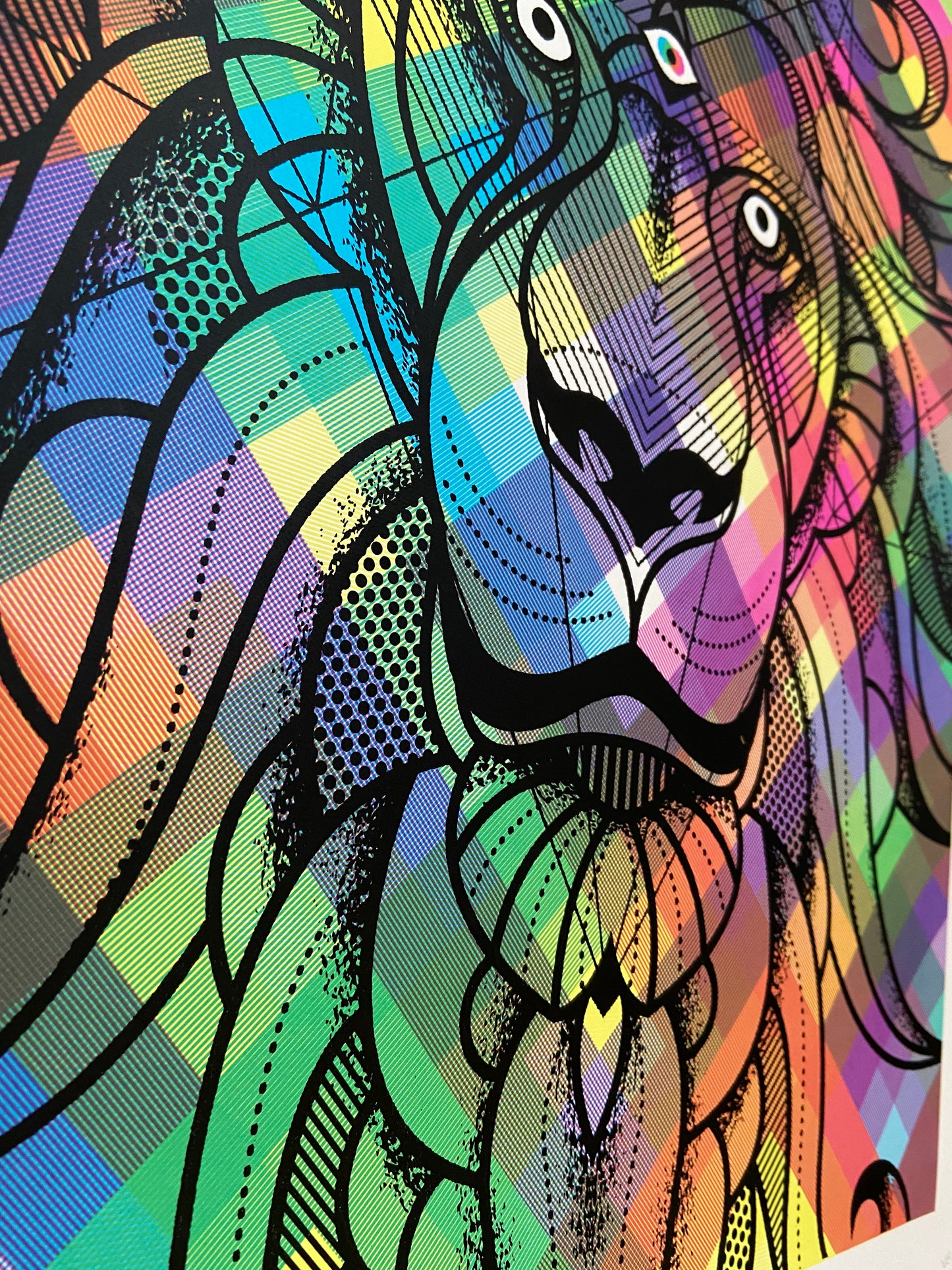 DDL Lion