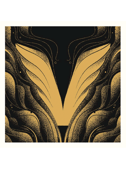 The Letter V